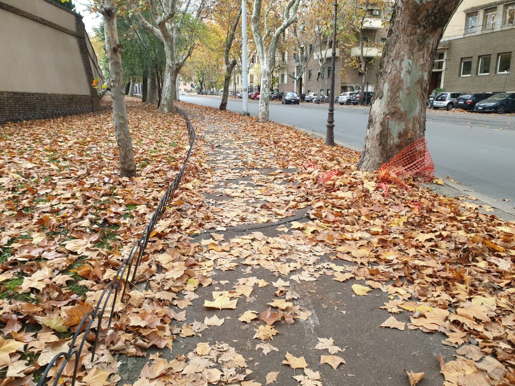 Una pista ciclabile dei Parioli è totalmente ricoperta di foglie secche