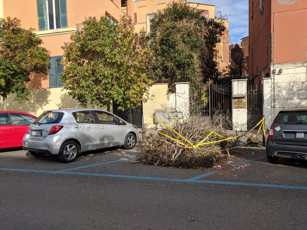 Fronde che ingombrano un parcheggio