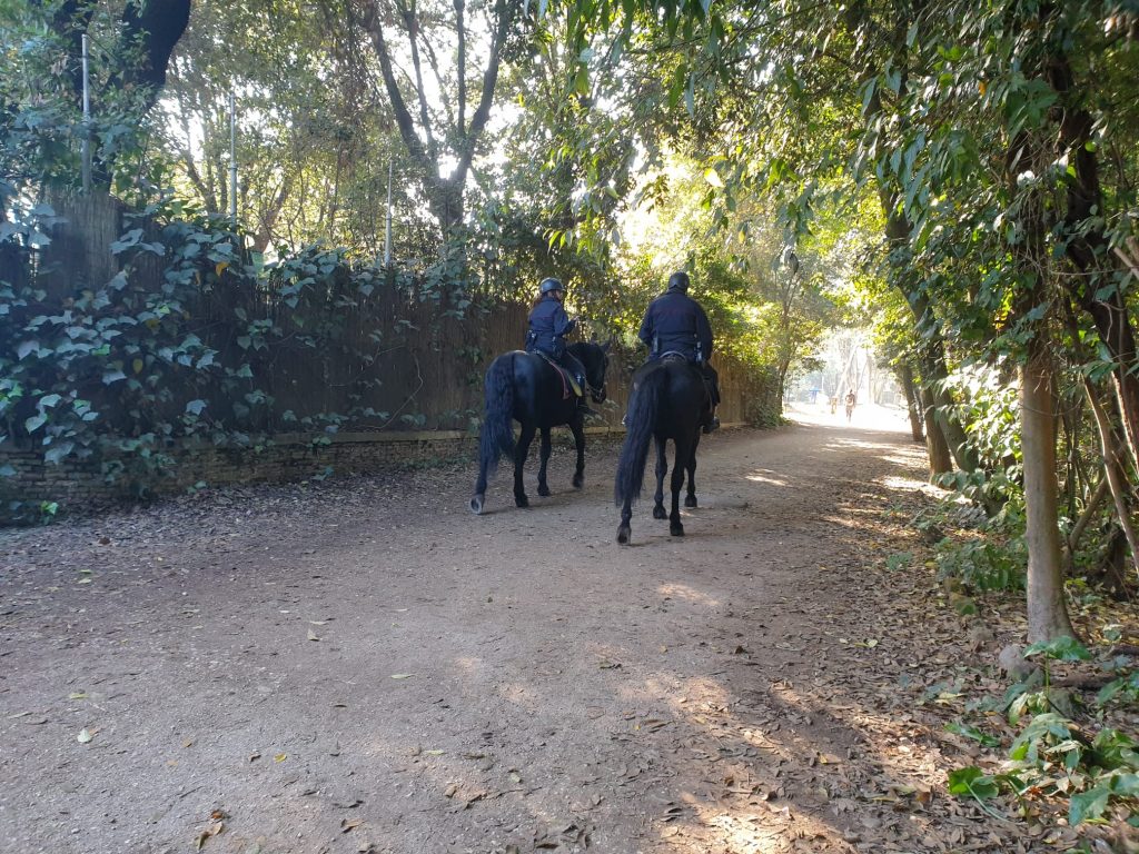 Controlli a Villa Ada