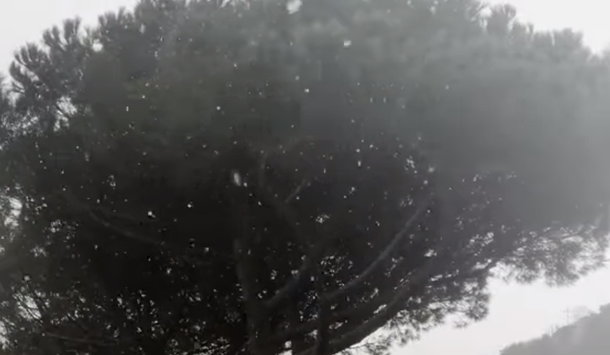 Neve a Cerveteri