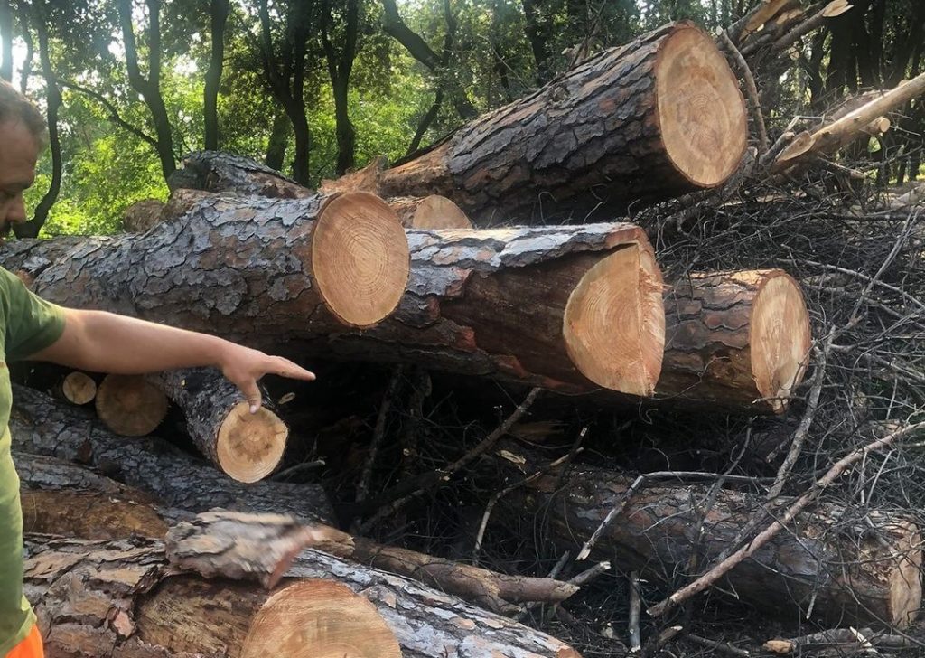 La "Vallata della morte". Foto dalla pagina Facebook Comitato Villa Glori