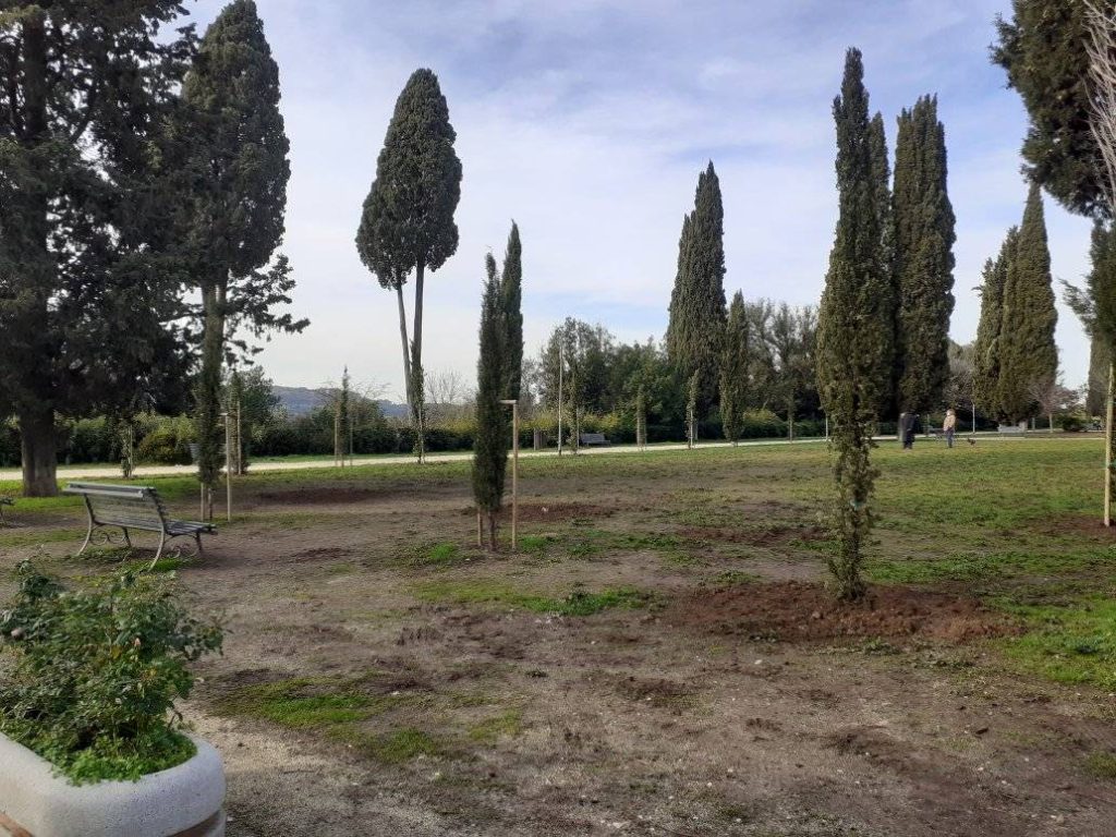 Nuovi alberi a Villa Balestra. Foto dalla pagina Facebook Giardino delle Belle Arti 