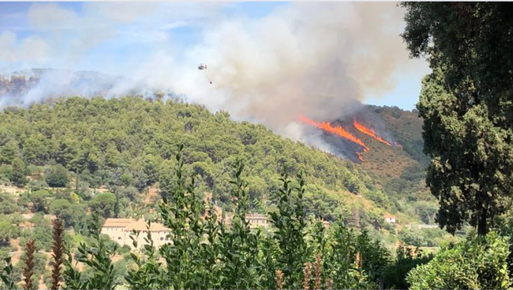 L'incendio della Riserva di Monte Catillo (foto del Fai)