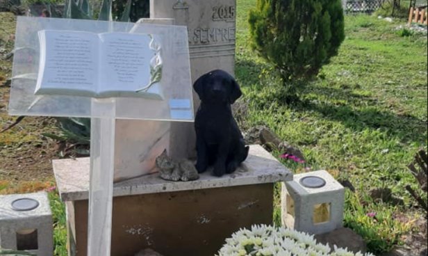 Foto dalla pagina Facebook Cimitero per animali Viterbo "terra Benedetta "