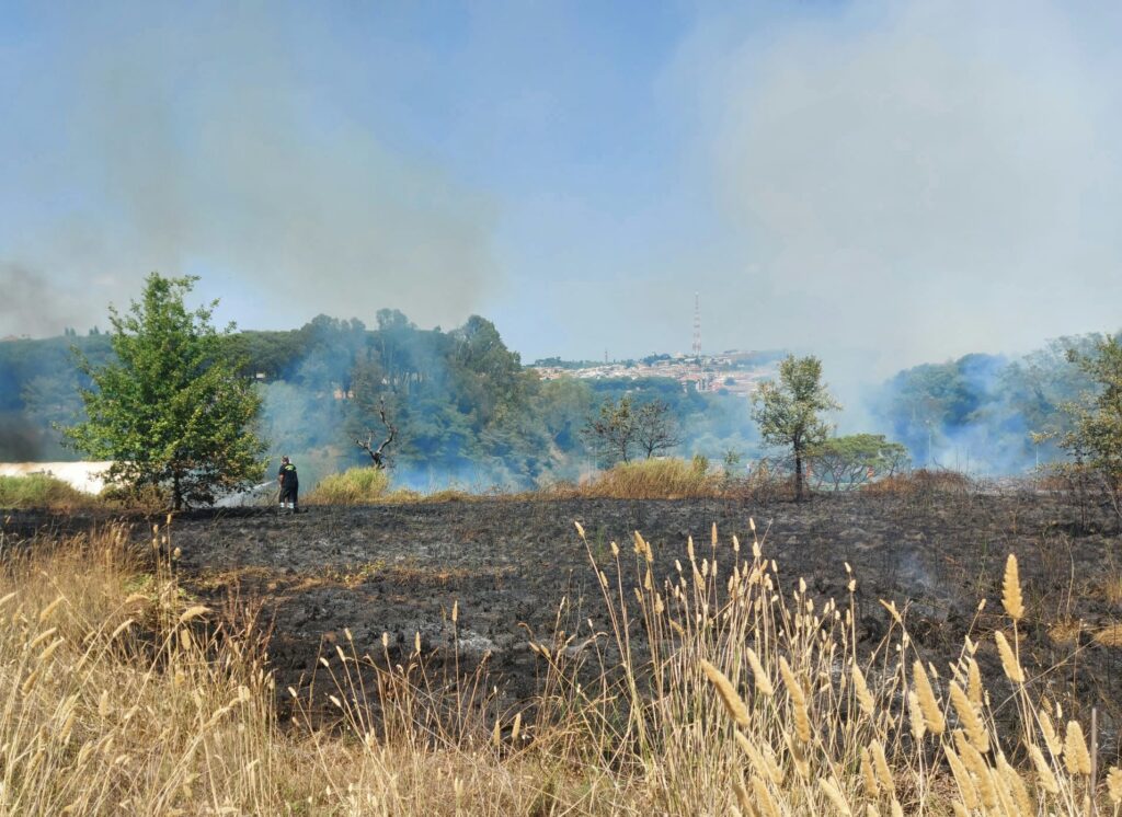 L'incendio nel Parco del Pineto (agenzia DIRE)