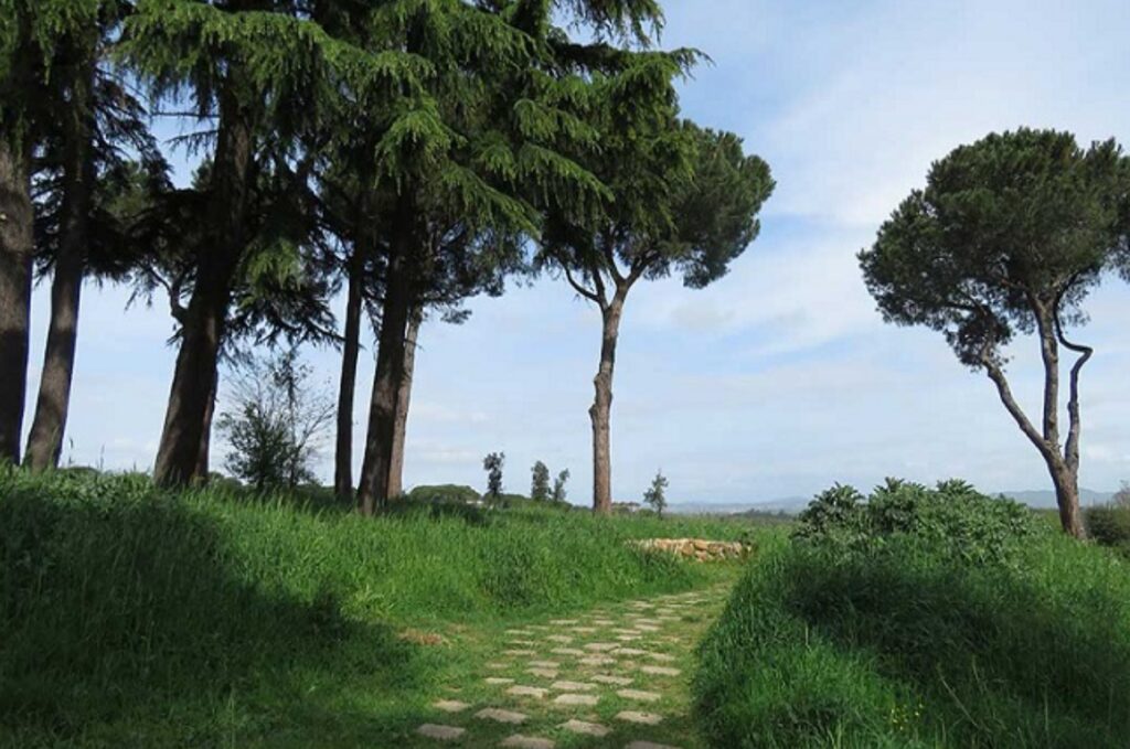 Alberi a Roma