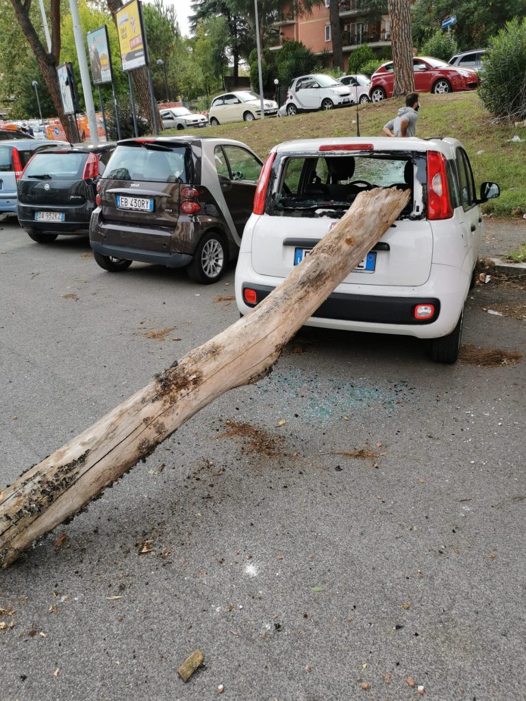 Il ramo caduto sull'auto (foto Reporter Montesacro)