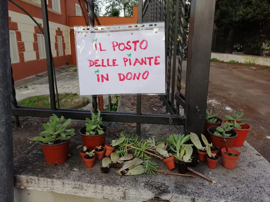 Il posto delle piante in dono (foto di Annalisa Pellegrini dal gruppo Facebook Amici di Città Giardino Montesacro)