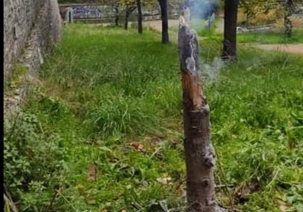 Quel che resta dell'albero dato alle fiamme al parco Chiala (foto Reporter Montesacro)