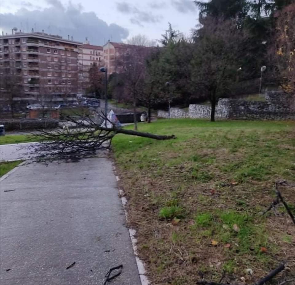 Le condizioni di parco Chiala (foto Reporter Montesacro)