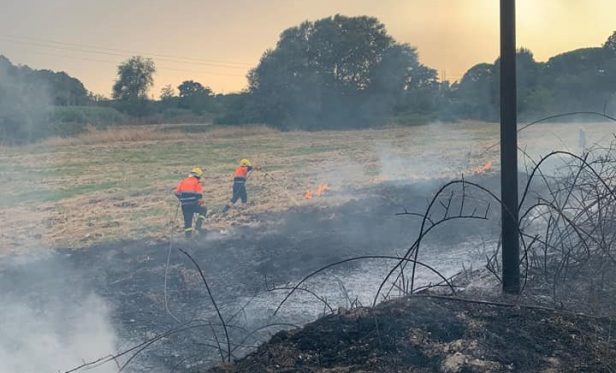 L'incendio nella Riserva della Marcigliana (foto Reporter Montesacro)