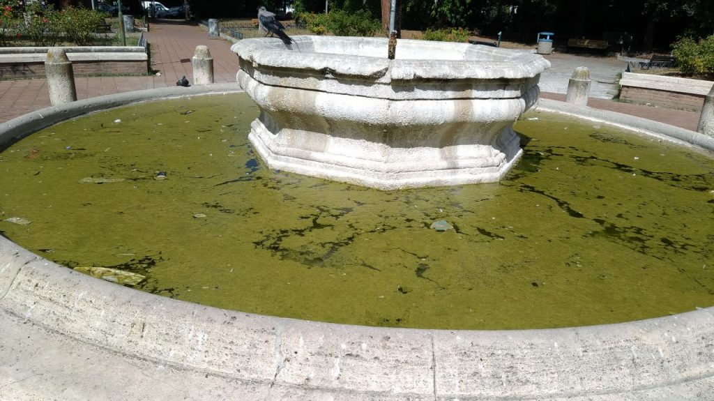 Fontana parco Belluto