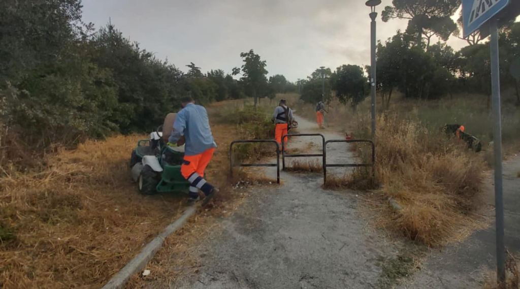 Sfalcio e diserbo in corso al parco di via Petroni alla Bufalotta (foto dalla pagina Facebook di Paolo Marchionne)
