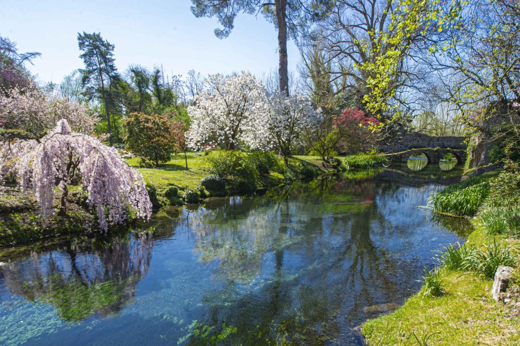 Fiume Ninfa, sul fondo Ponte a due luci a ridosso del muro di cinta, sulle sponde del fiume un ciliegio giapponese pendulo e due varietà di Pruni ornamentali.