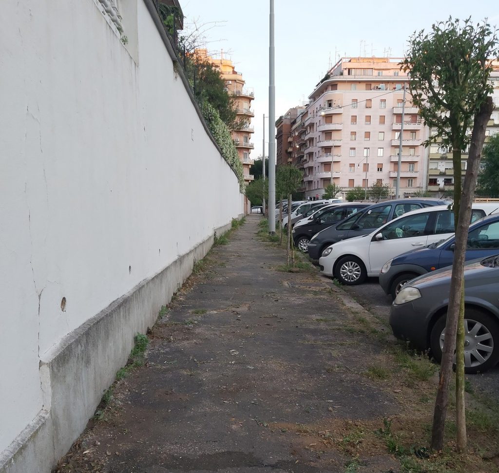 Alberi in via Como