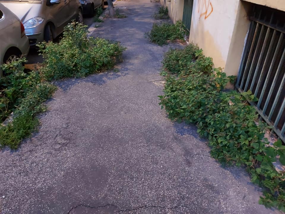 Le vie del quartiere invase dalle erbacce (foto di Loredana Saccomanno dal gruppo Facebook "Quelli di piazza Bologna")