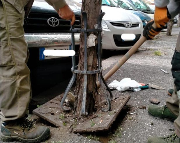 Foto: Facebook Daje De Alberi 