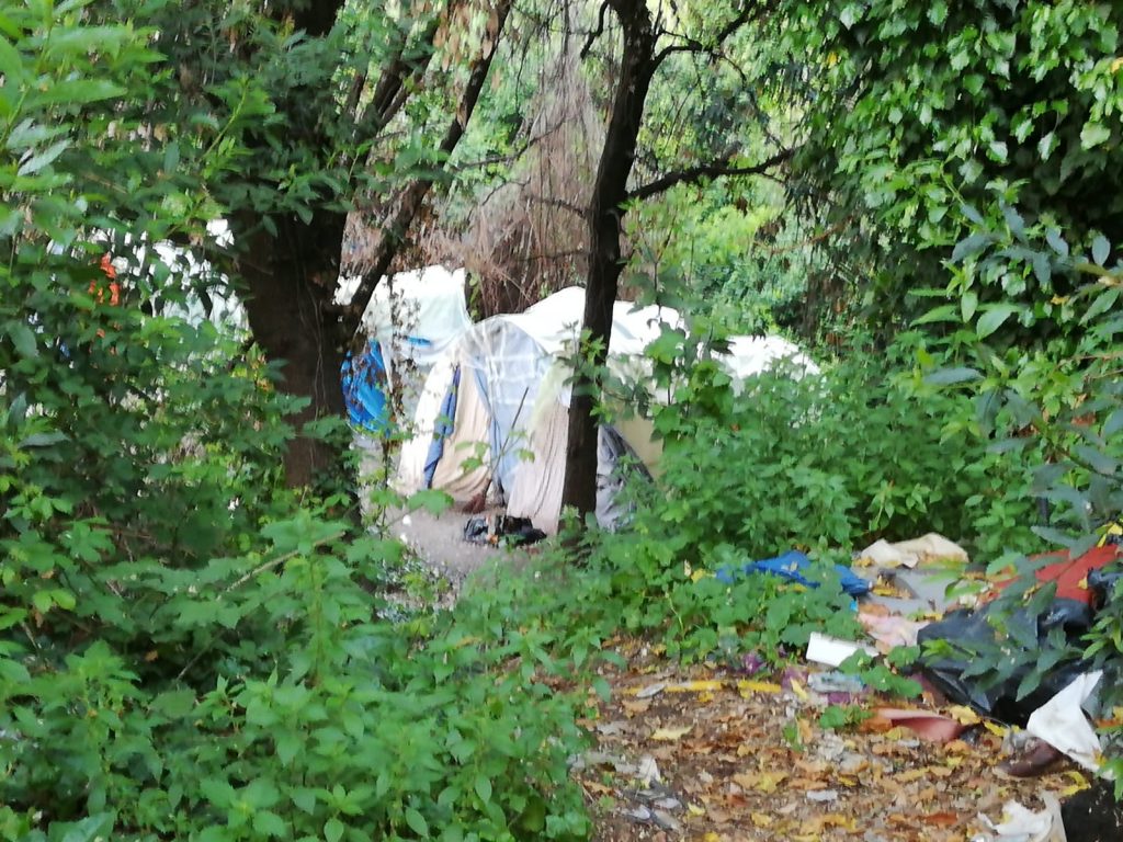 Otto tende, sistemate in modo ordinato su una piazzola immersa nella boscaglia