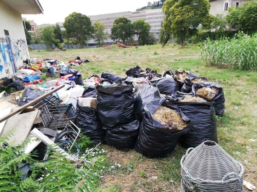 L'erba del prato tagliata e ammassata nei sacchi neri accanto ad altri rifiuti