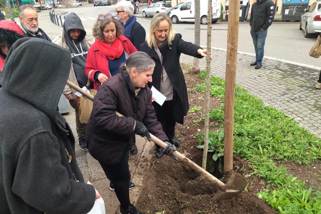 Il I Municipio dona nuovi alberi in piazza Bainsizza