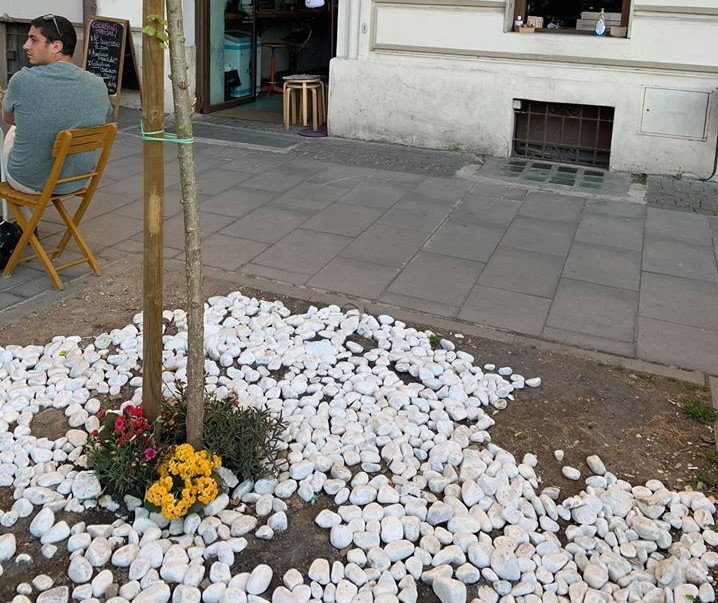 Aiuola in piazza Bainsizza