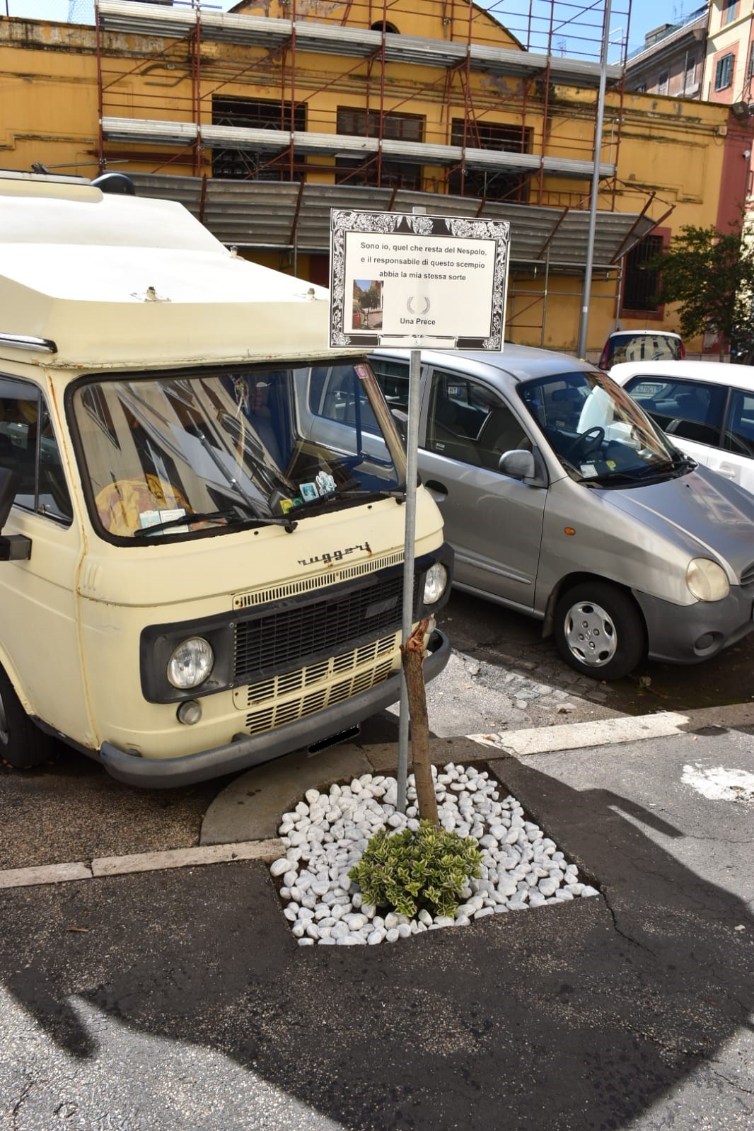 Via Lante, il "pianticidio" scatena una iattura. Così i vicini