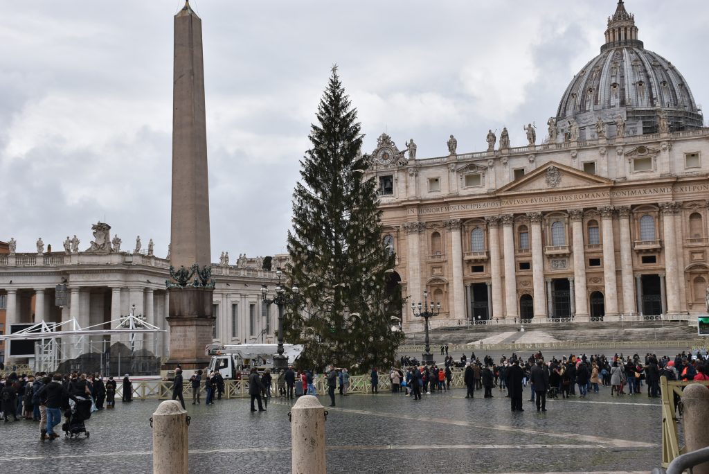 L'albero di Natale di piazza San Pietro