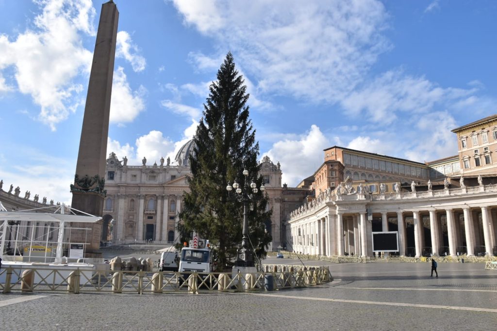 L'albero di Natale di piazza San Pietro 