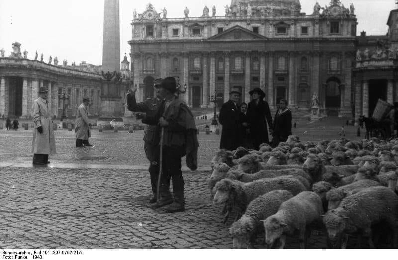 Pecore a San Pietro. Foto dal gruppo Facebook "seidipratiseofficialgroup"