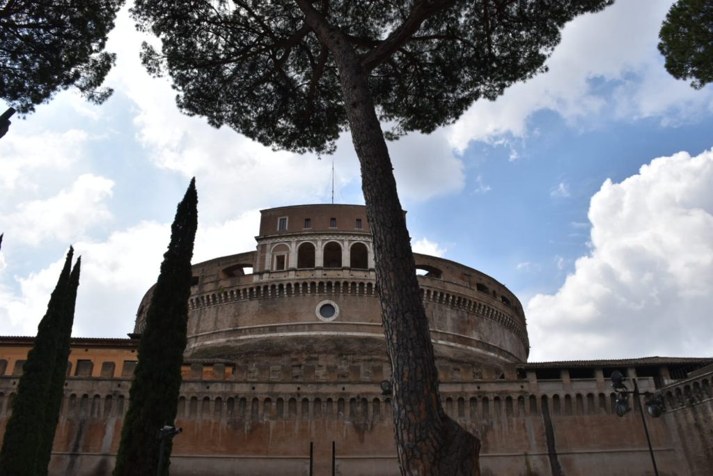 Un pino davanti a Castel Sant'Angelo