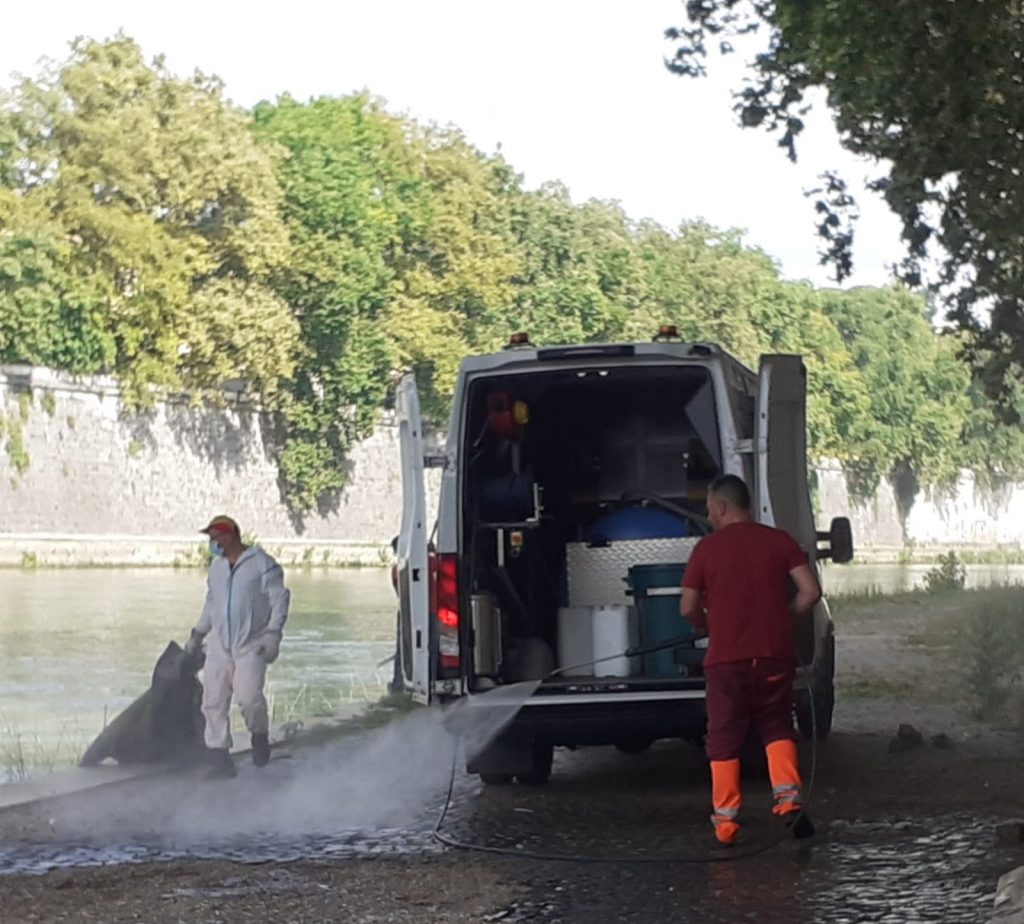Ama al lavoro sulle sponde del Tevere. Foto dalla pagina Facebook di Daniele Diaco
