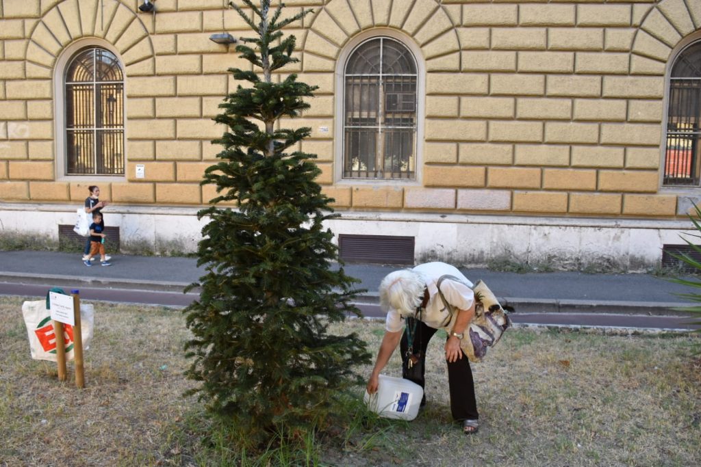 Isabella Colace innaffia l'albero dedicato a Stefano Cucchi