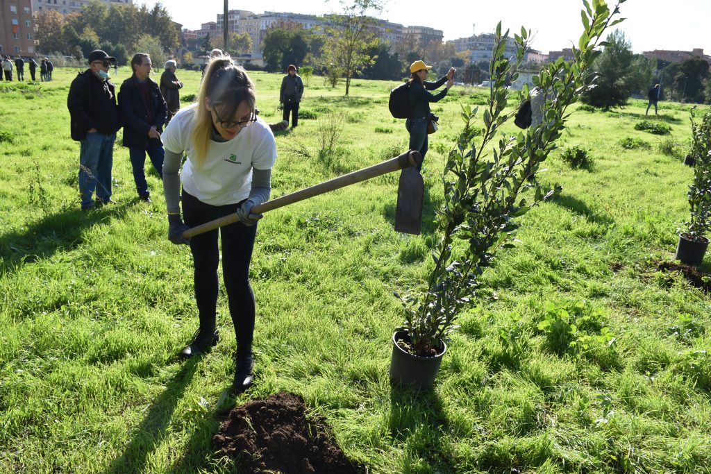 Attivisti green piantano alberi in via Teulada