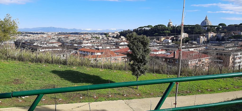 Nuovi alberi a Monte Ciocci. Foto dalla pagina Facebook Comitato Monte Ciocci