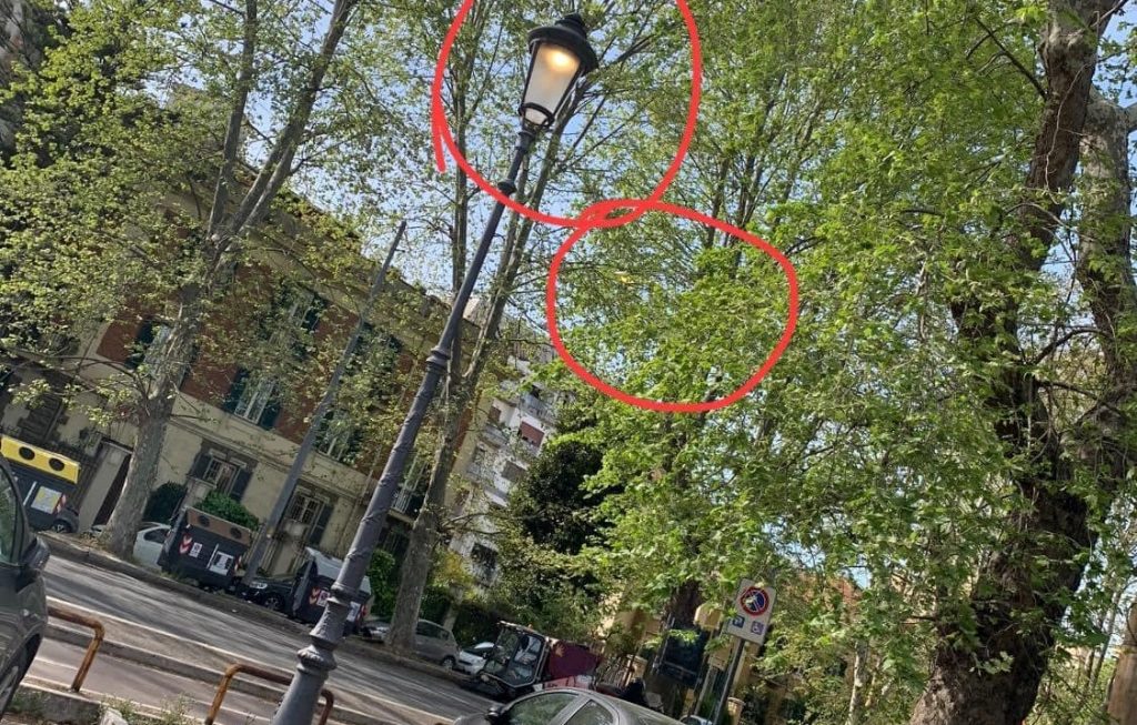 Lampioni accesi di giorno nel quartiere. Foto dalla pagina Facebook di Renato Sartini
