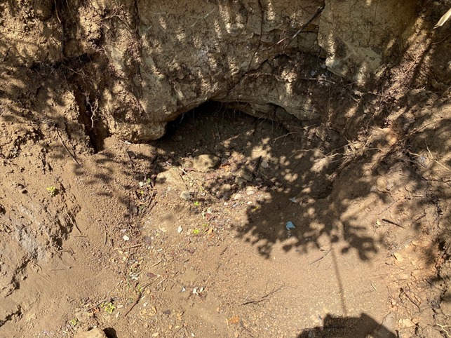 Foto Istituto Superiore per la Protezione e la Ricerca Ambientale