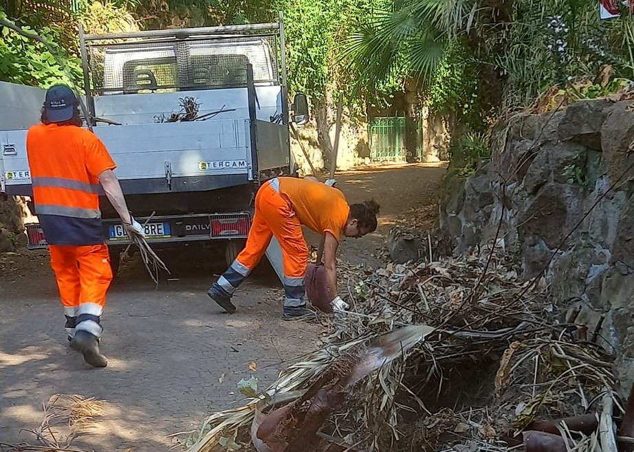 Intervento di pulizia a Villa Mercede. Foto dalla pagina Facebook Assessorato Ambiente, Decoro, Verde pubblico - II Municipio 