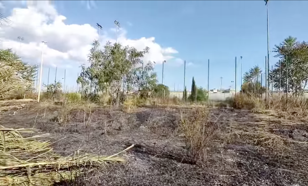 Parco Fieramosca (screenshot dal video pubblicato su Facebook dal Comitato di quartiere Casal Bertone)