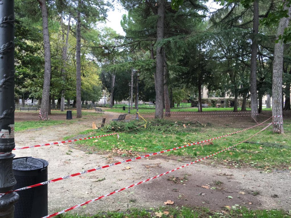 Gli alberi pericolanti dentro Villa Paganini