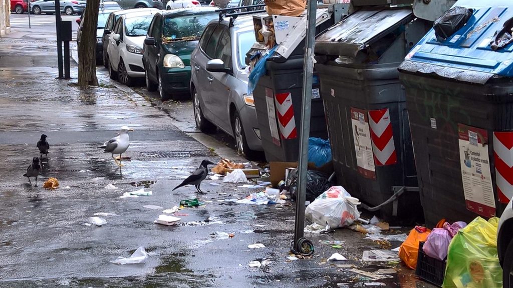 Gabbiani e cornacchie tra i rifiuti di via Fogliano