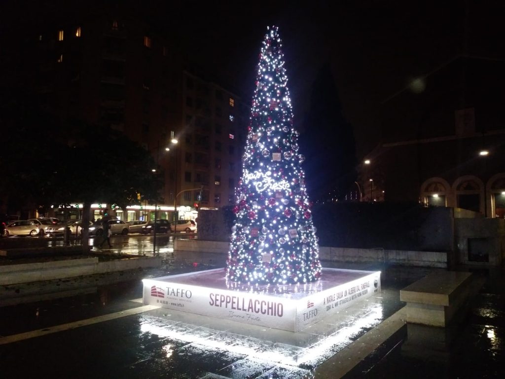 Seppellacchio, l'albero di Natale in piazza di Sant'Emerenziana