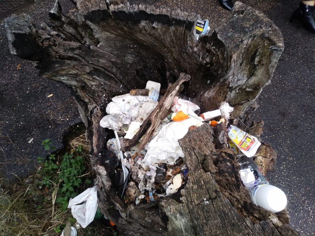 I rifiuti dentro il tronco di un albero