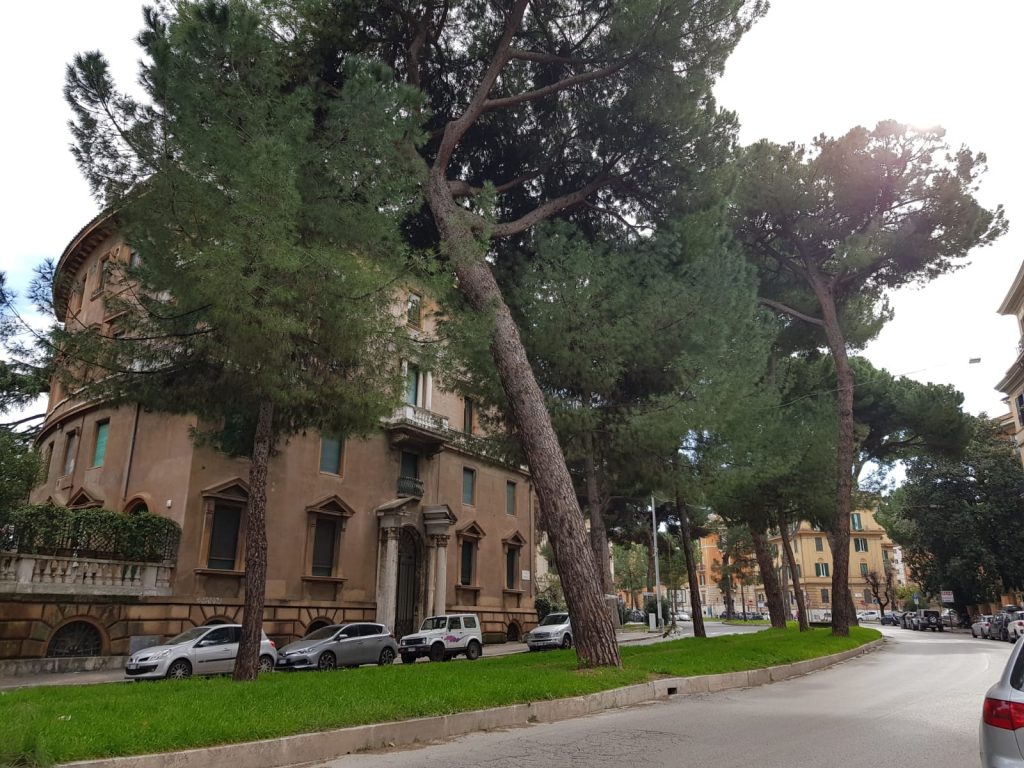 Tra le situazioni più critiche quelle degli alberi tra il Giulio Cesare e piazza Istria