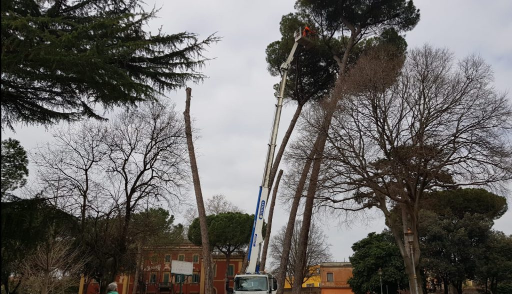 Servizio Giardini all'opera per tagliare gli alberi