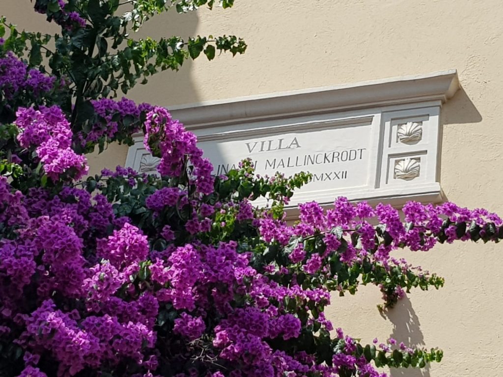La meravigliosa fioritura che circonda Villa Paolina