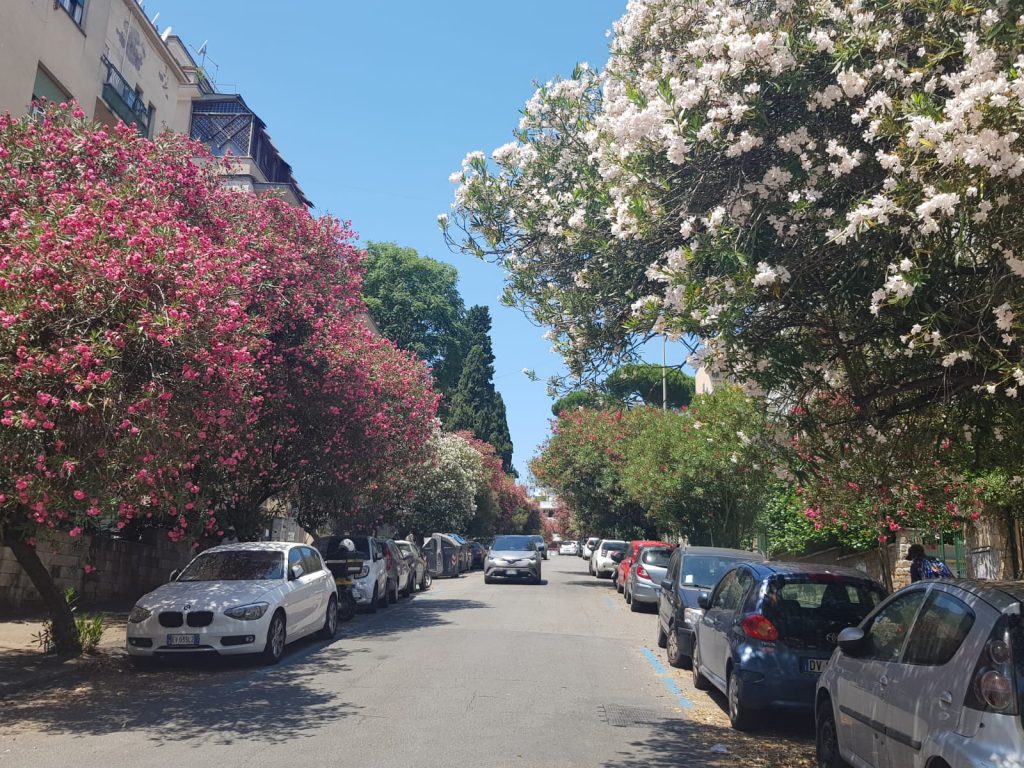 via di Poggio Catino