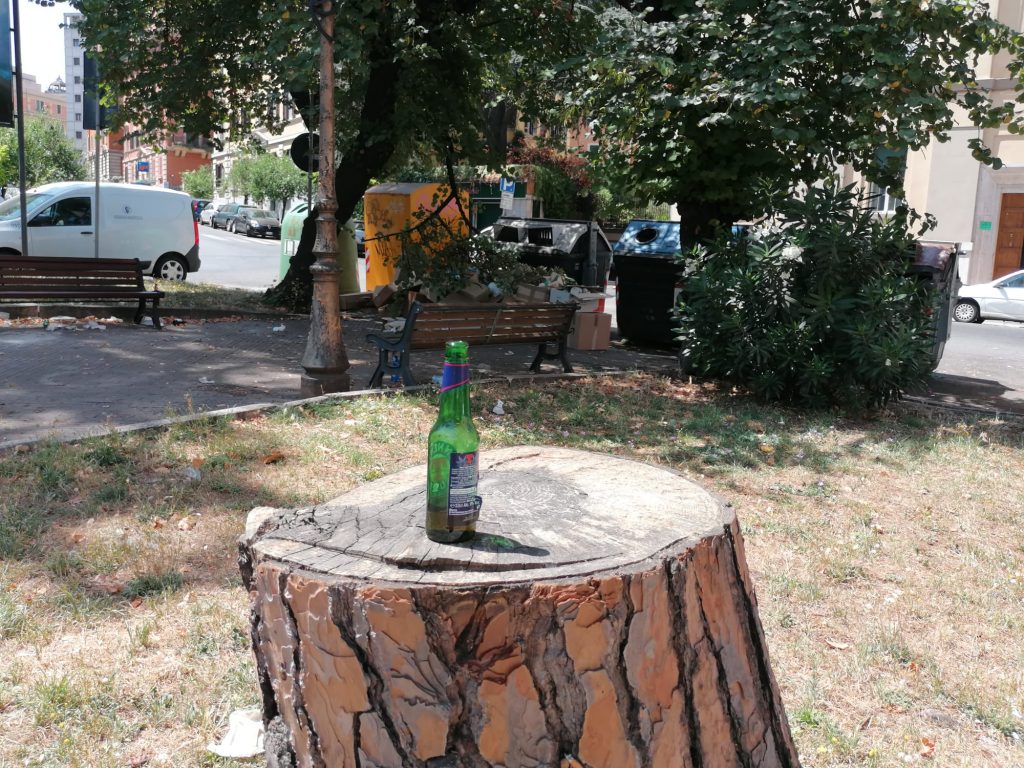 Una bottiglia di birra lasciata sopra ad un pino tagliato