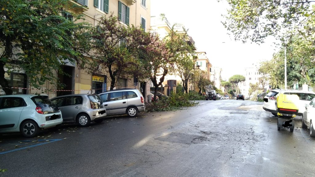 Via Topino