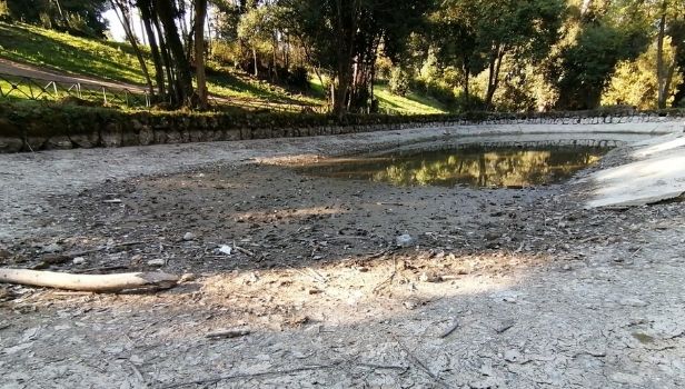 Il laghetto di Villa Ada senza acqua 