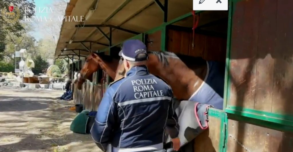 La polizia locale di Roma Capitale al galoppatoio di Villa Borghese